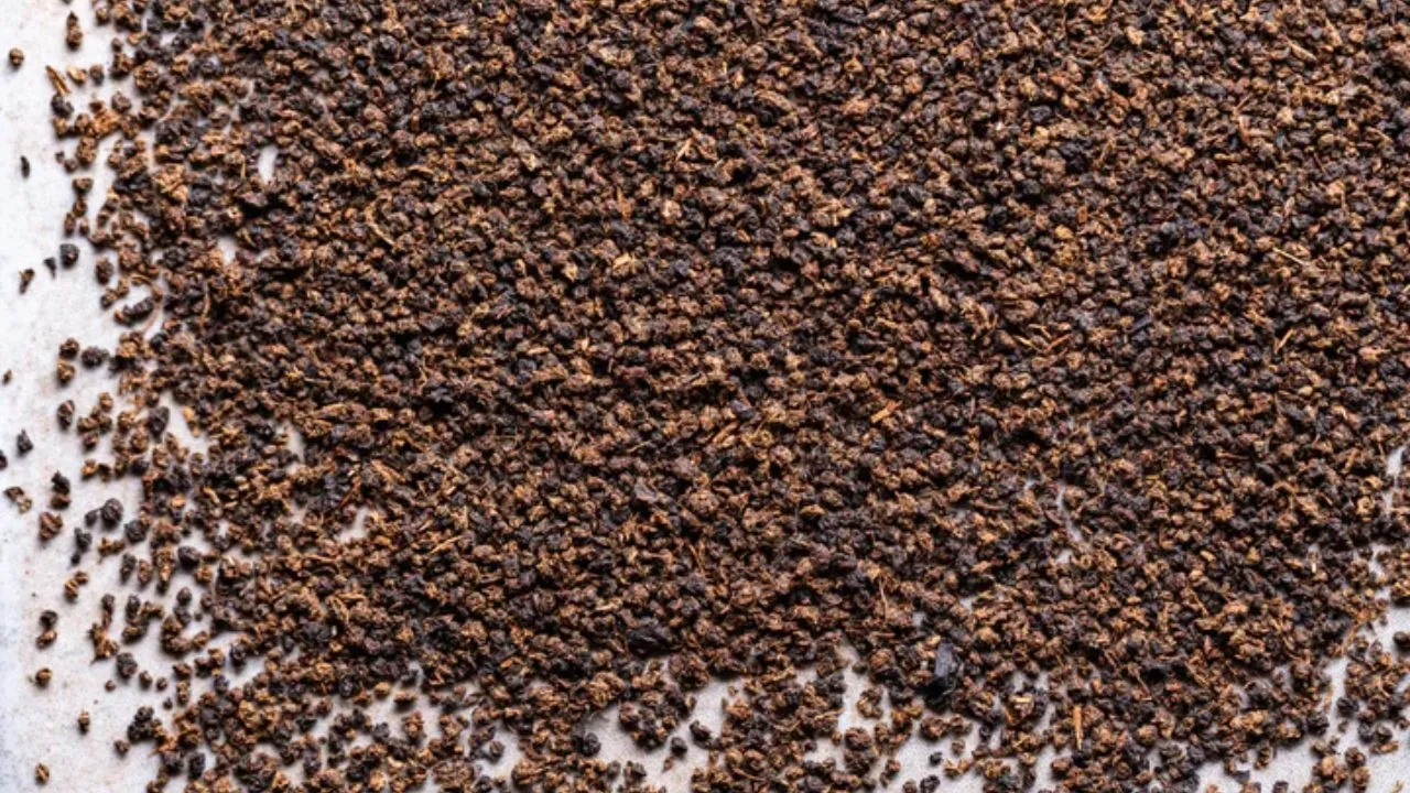 Untitled design (57)