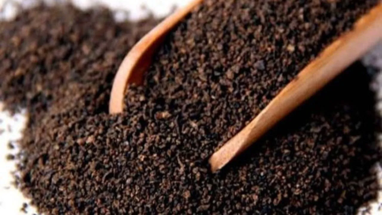 Untitled design (58)