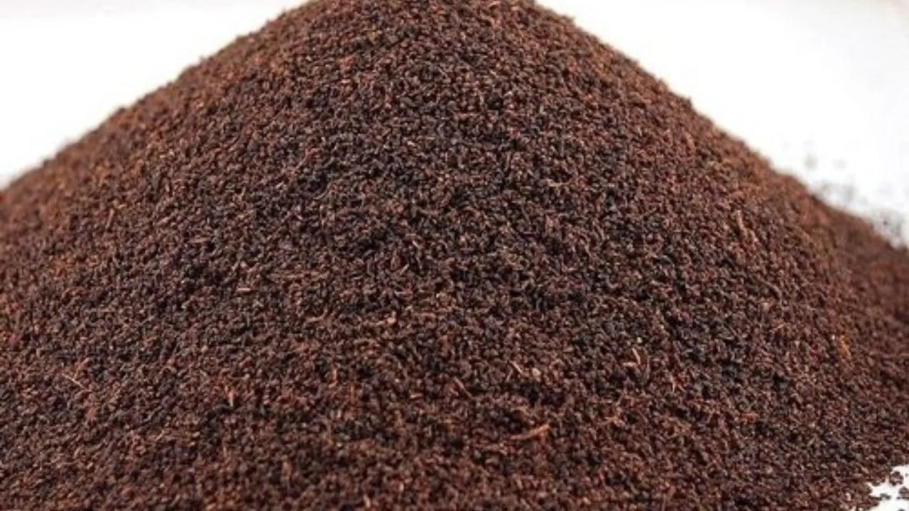 Untitled design (59)