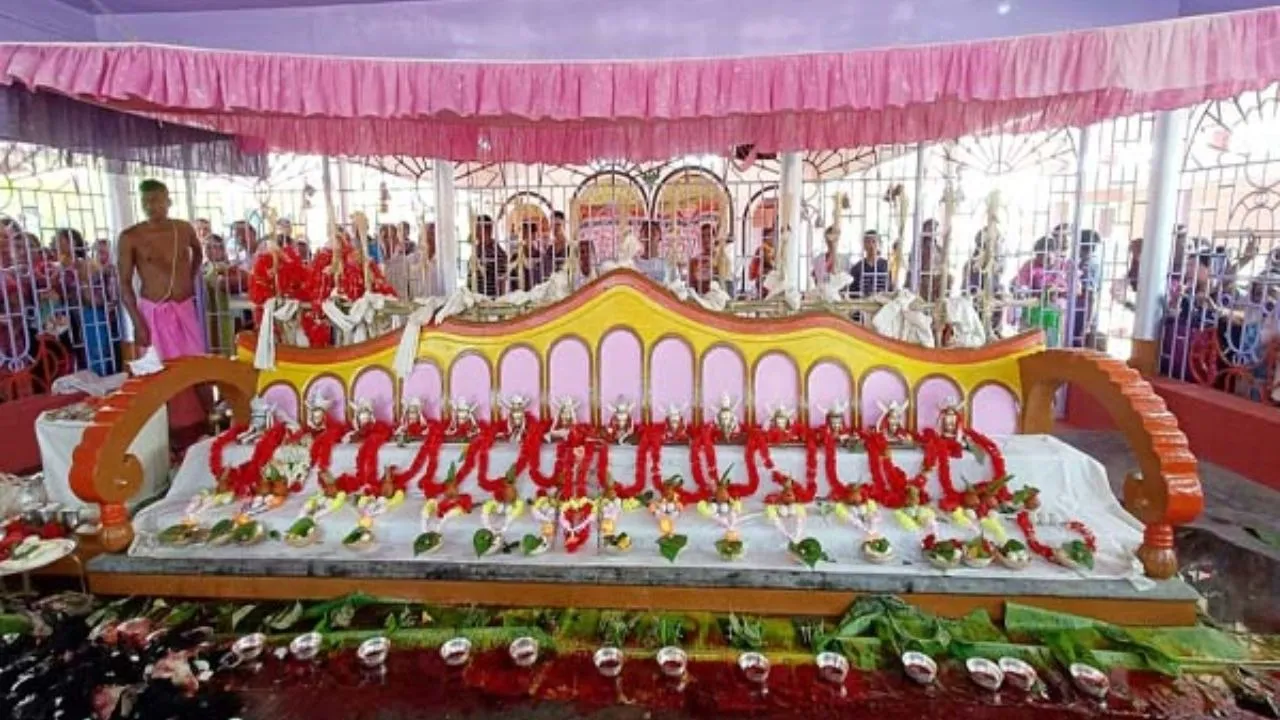 Untitled design (61)