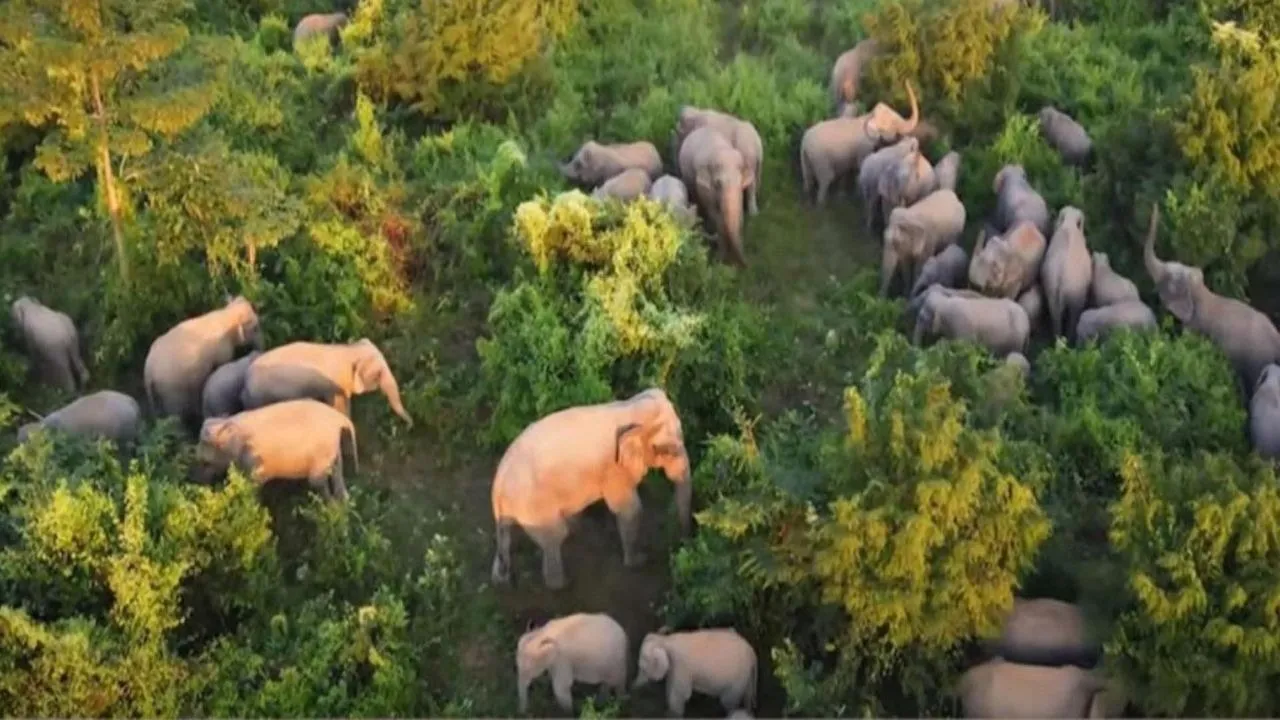 Untitled design - 2026-01-31T194227.920