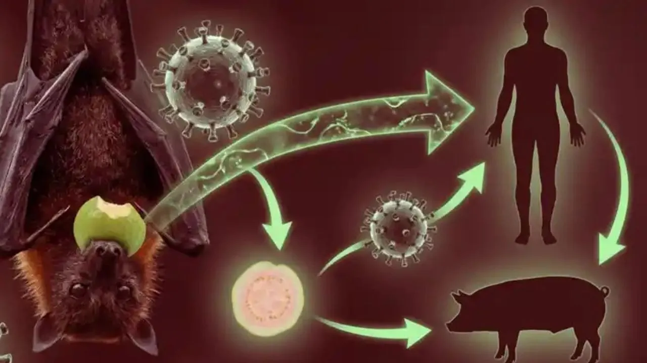 Untitled design - 2026-01-31T160126.979