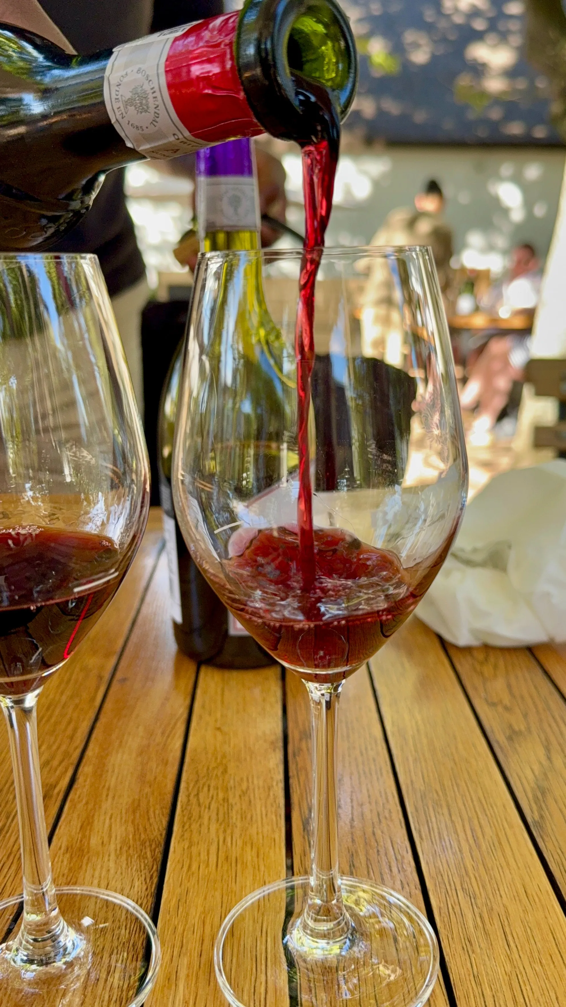 Red wine tasting at Boschendal