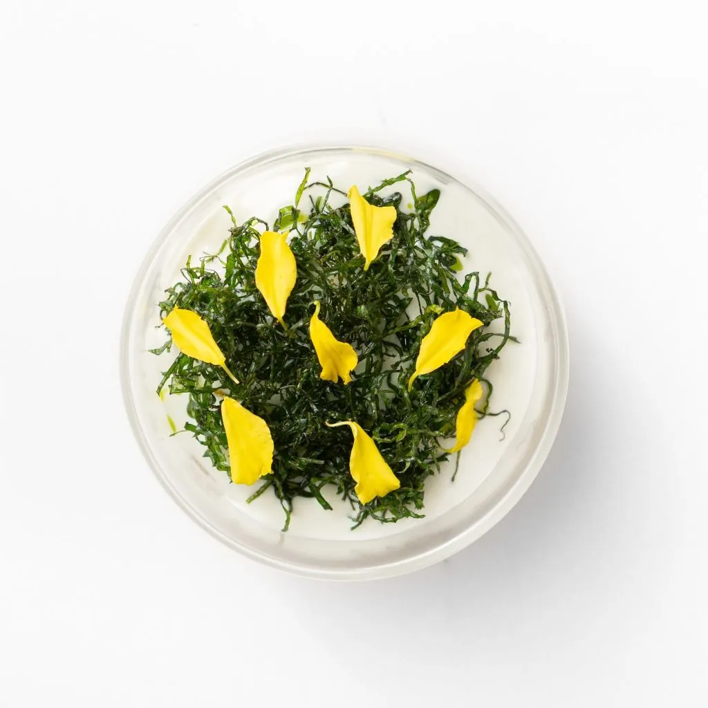 betel leaves