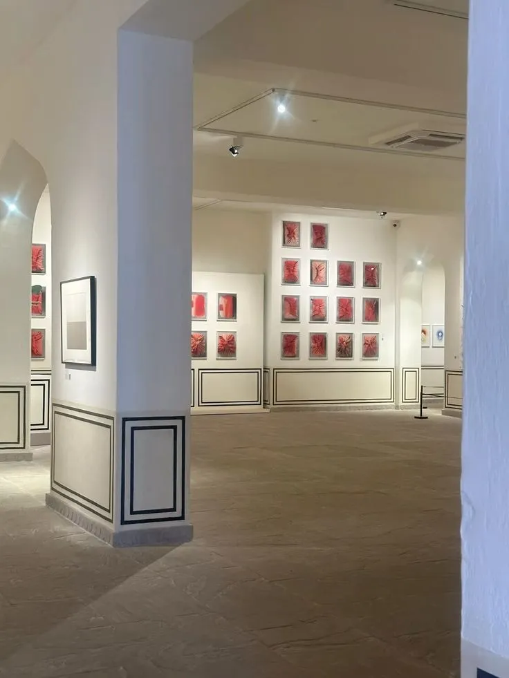 Jaipur centre for art