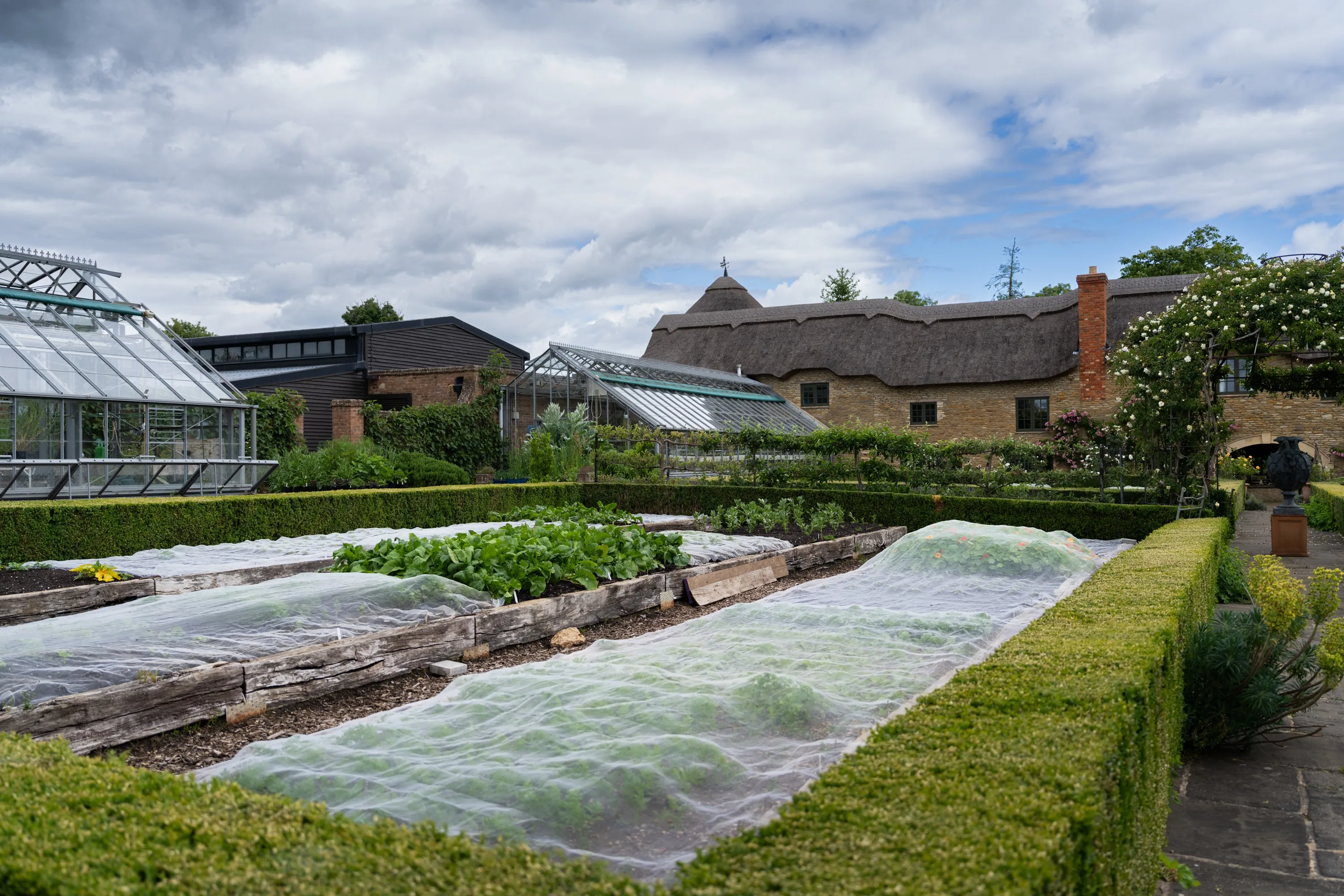 CocochineXRowlerEstate