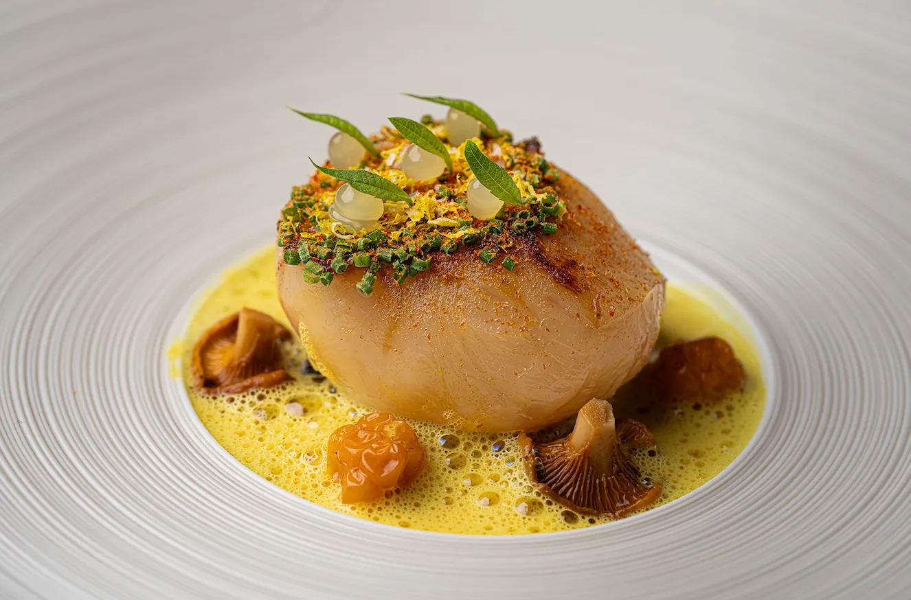 Screen Shot 2025-12-01 at 12.19.50 PM