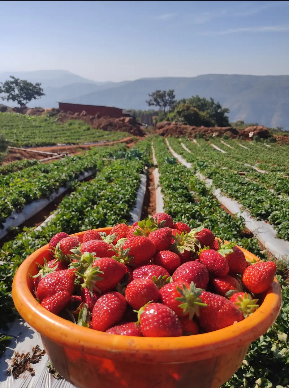 Screenshot 2025-12-15 184903