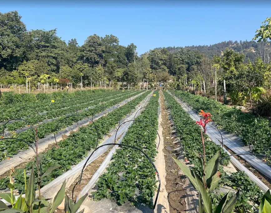 Screenshot 2025-12-15 185341