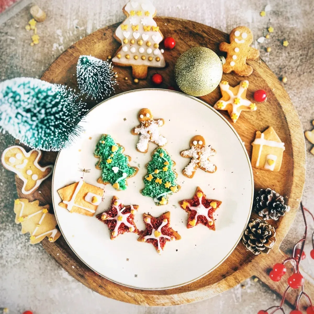 DIY Christmas Cookie Decoration Kit (1)