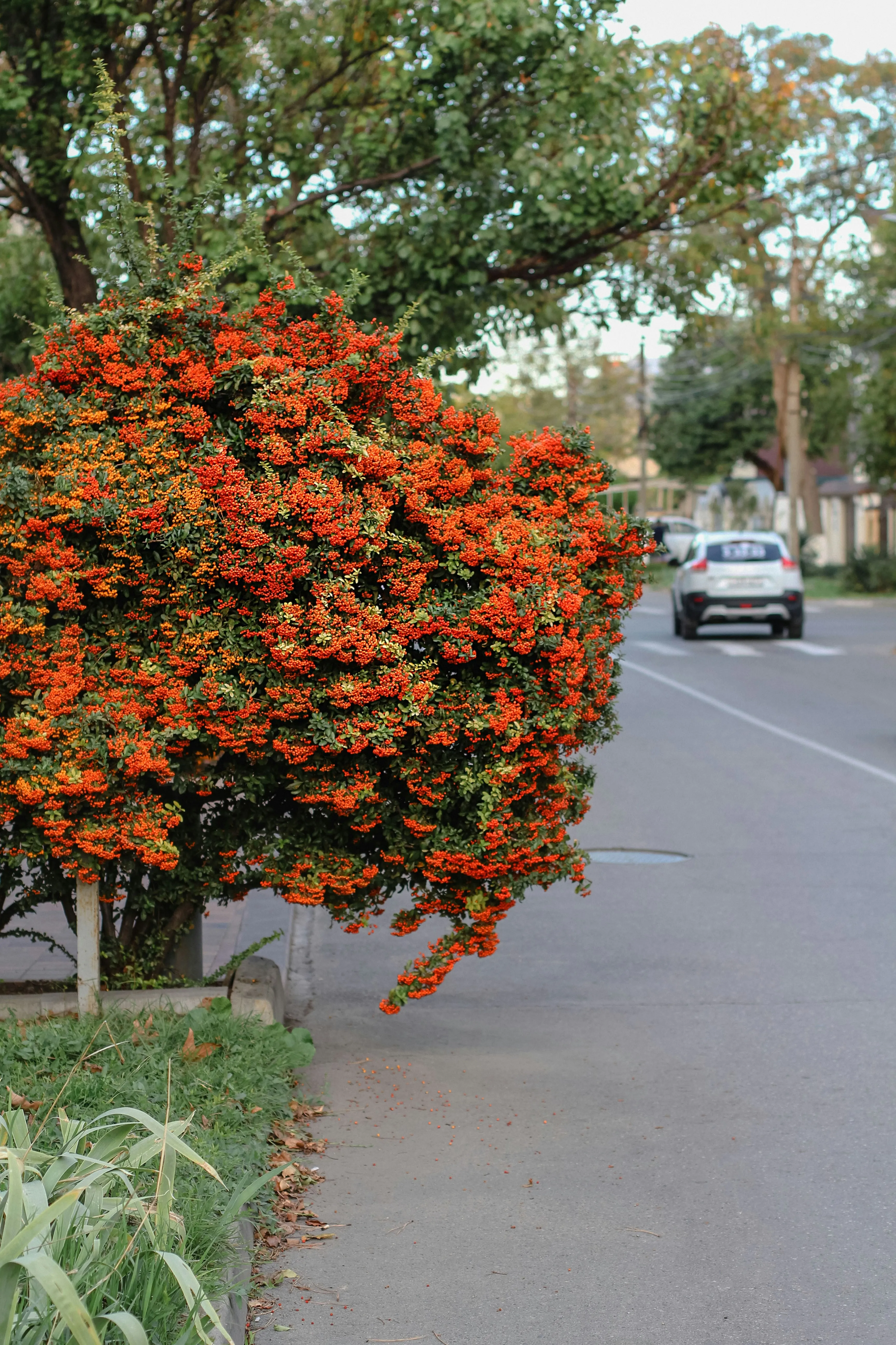 anna-kumpan-4t_XtQI0w04-unsplash