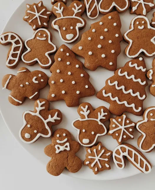 Screen Shot 2025-12-24 at 4.28.58 PM