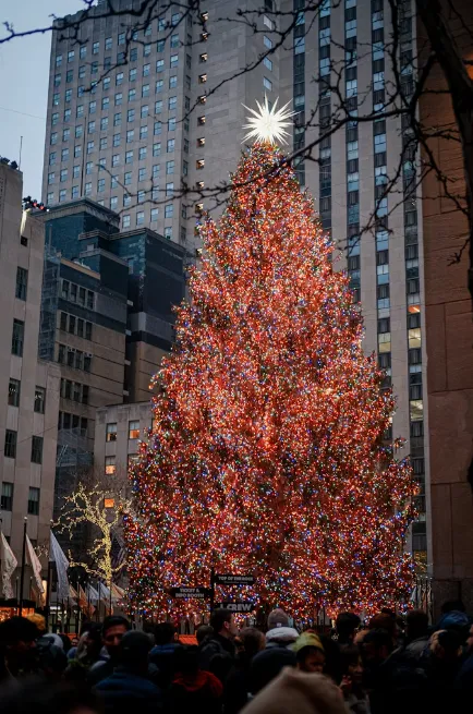 Screen Shot 2025-12-24 at 4.44.03 PM