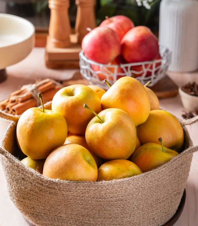 Screenshot 2026-02-05 at 12.59.08 PM