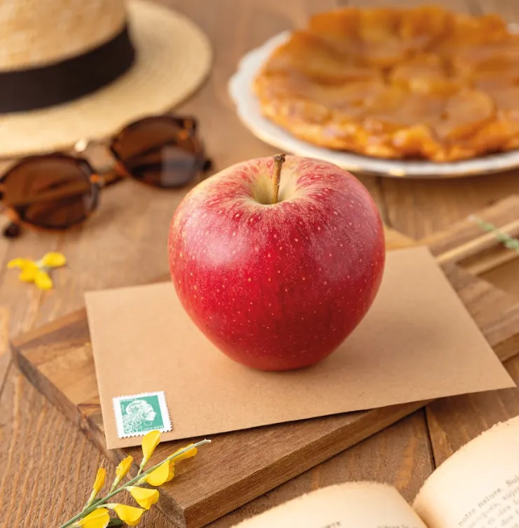 Screenshot 2026-02-05 at 12.59.16 PM