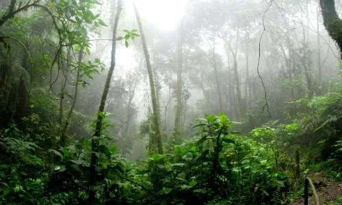 rain-ground