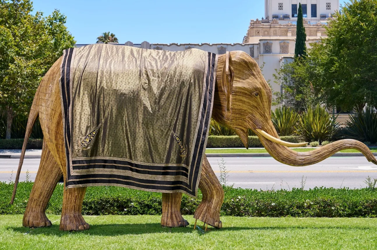 Elephant