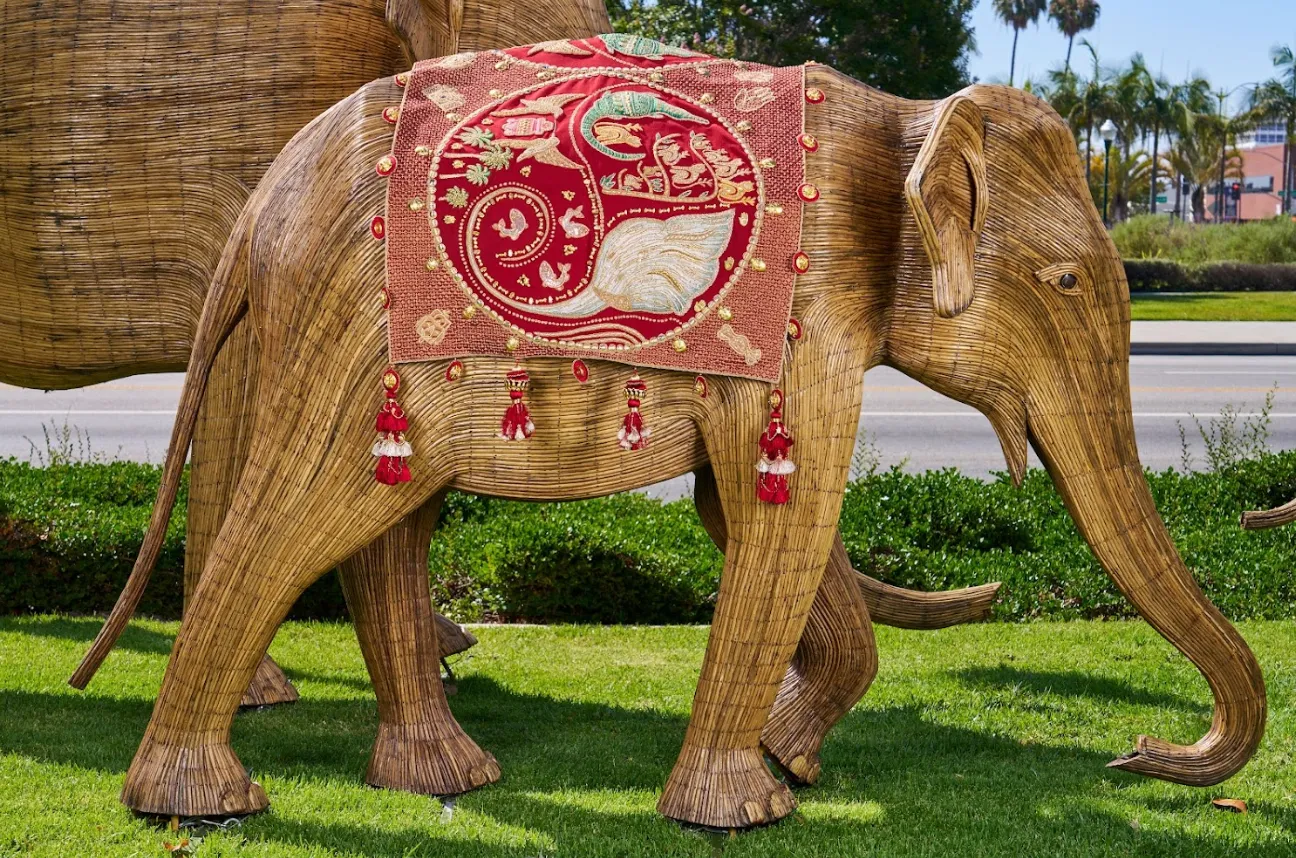 Elephant