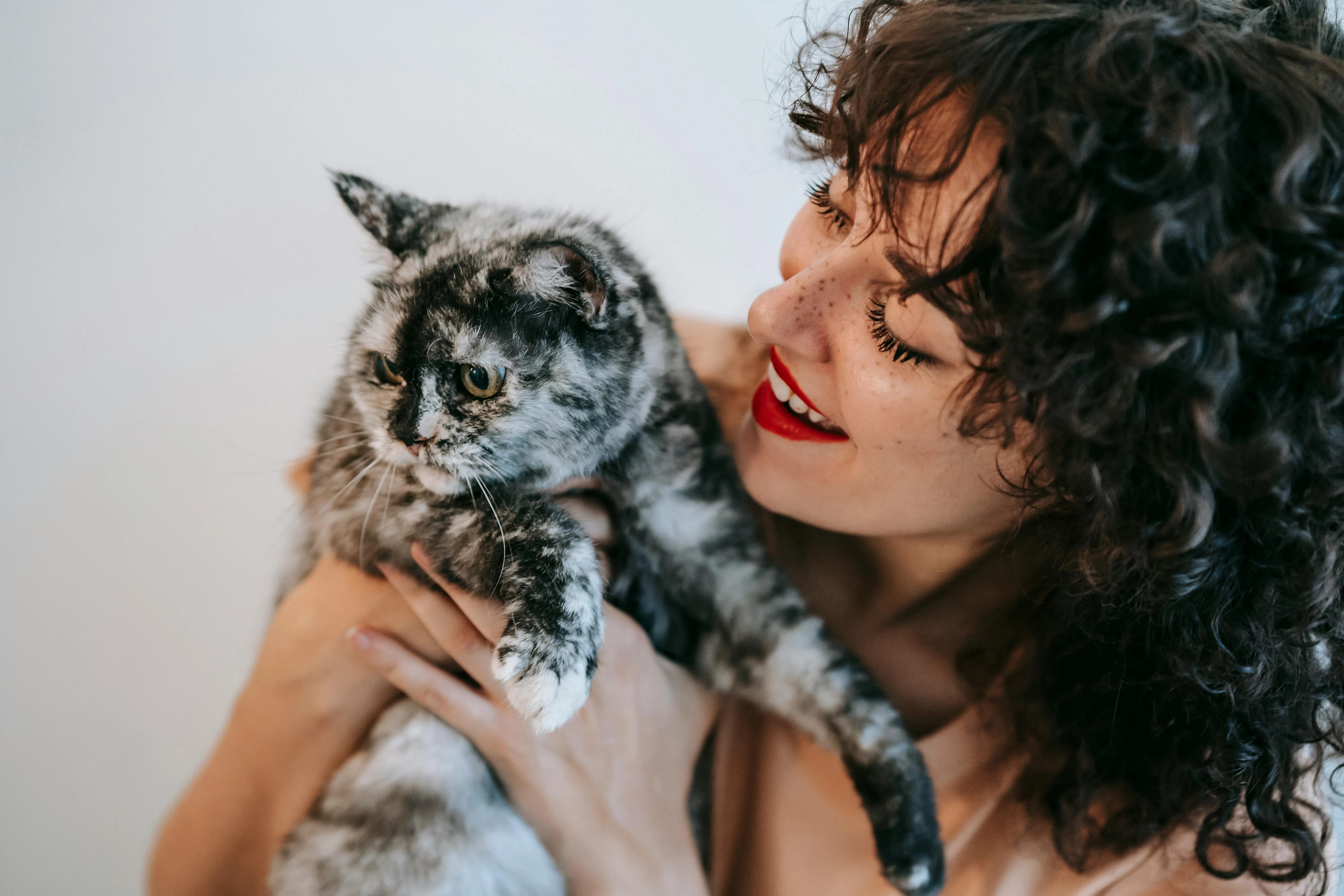 pexels-sam-lion-6001538