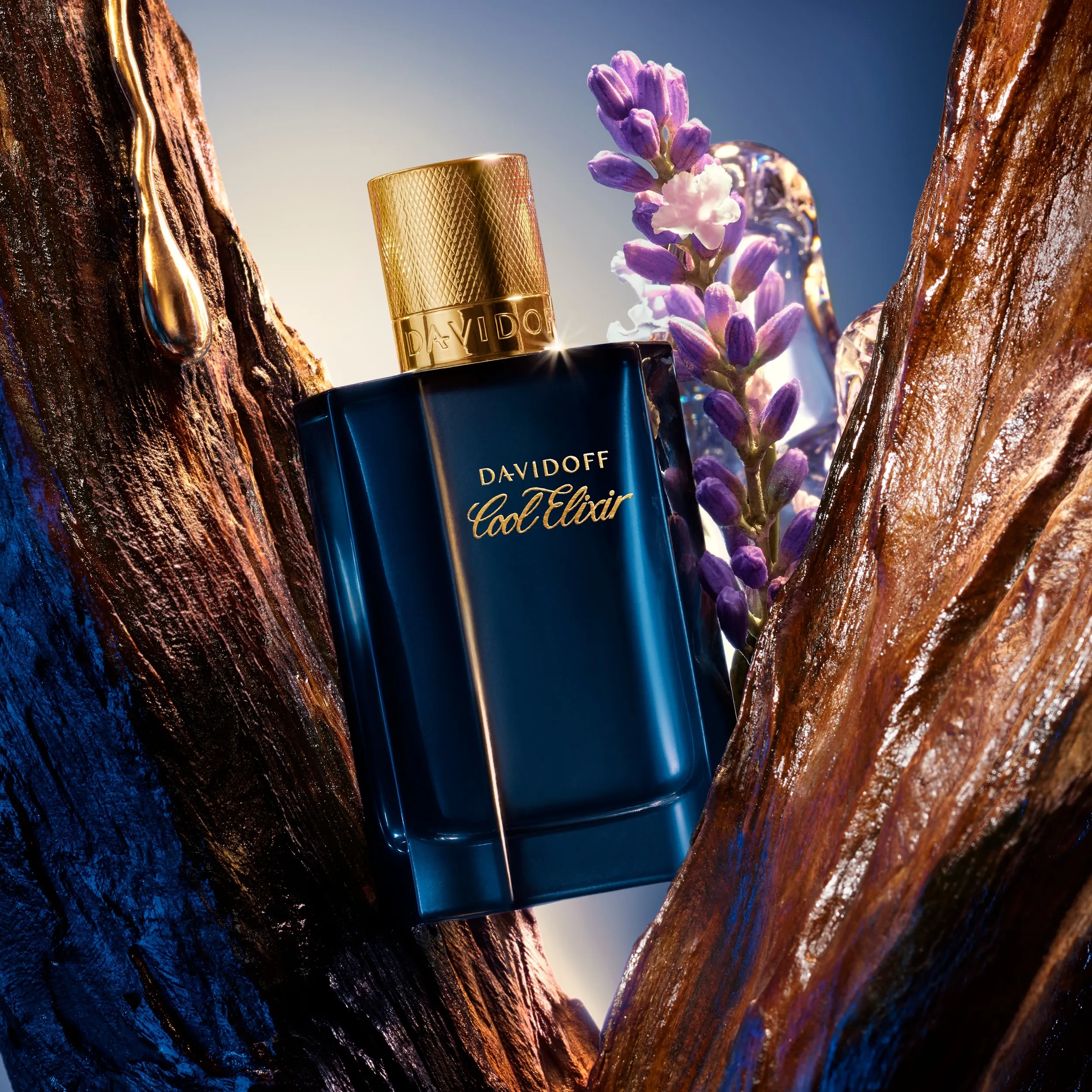 davidoff