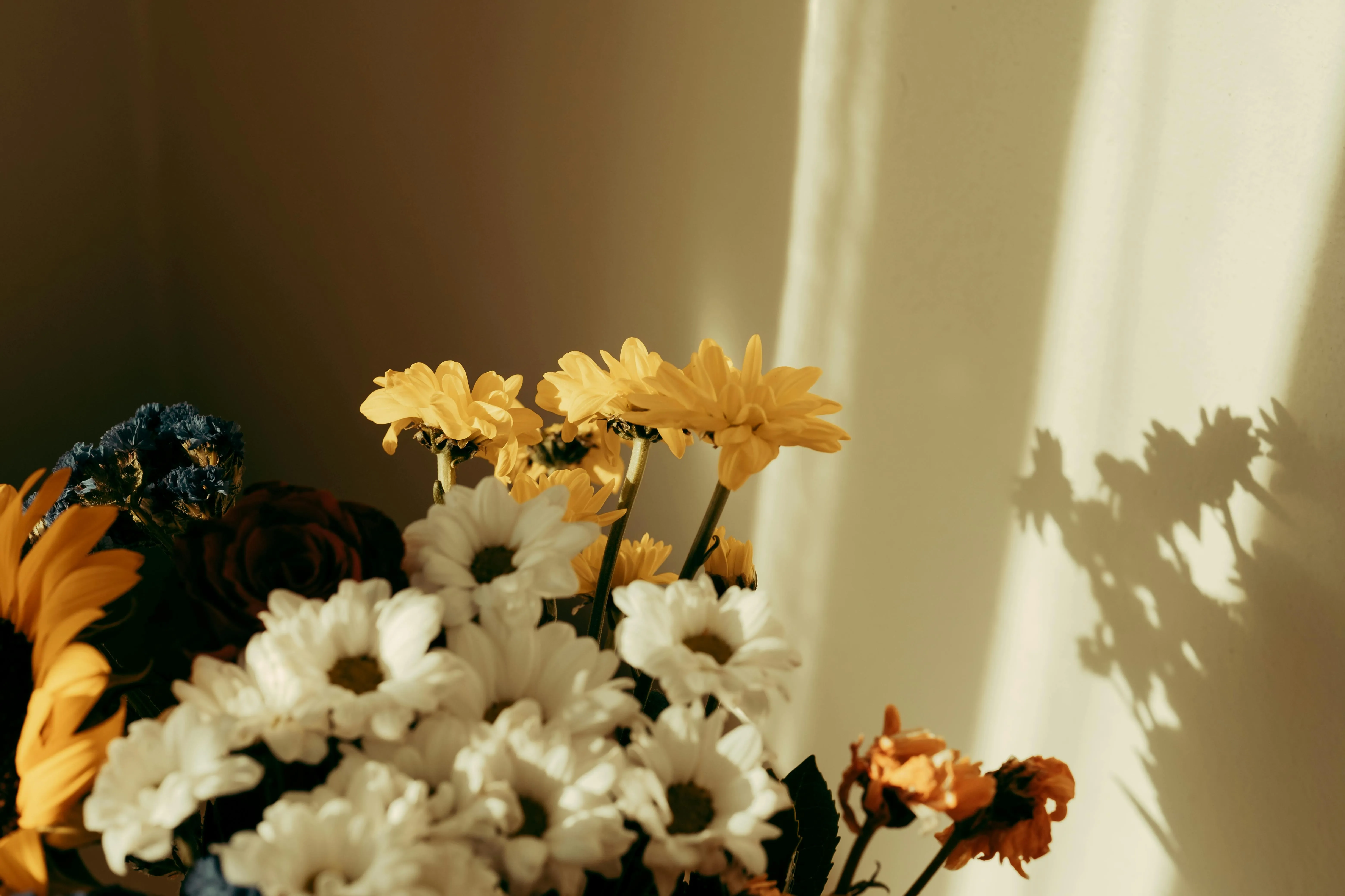 pexels-sami-aksu-48867324-13368217