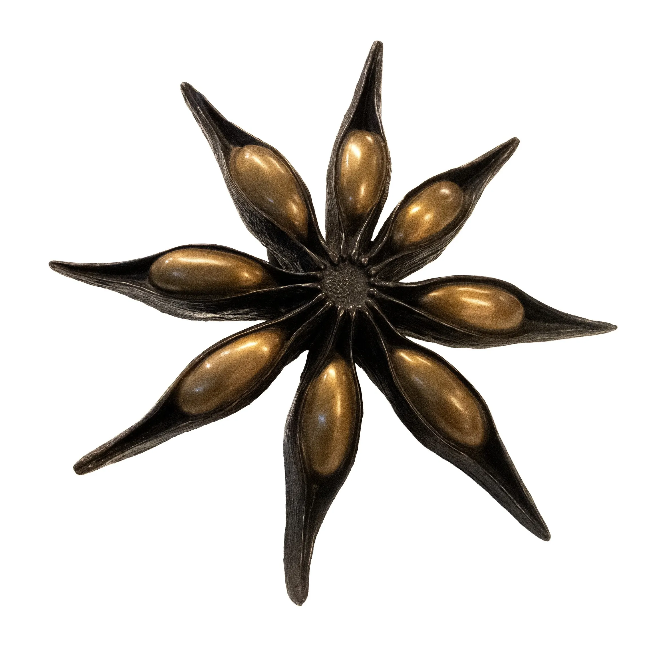 Kumari Nahappan_Anise One