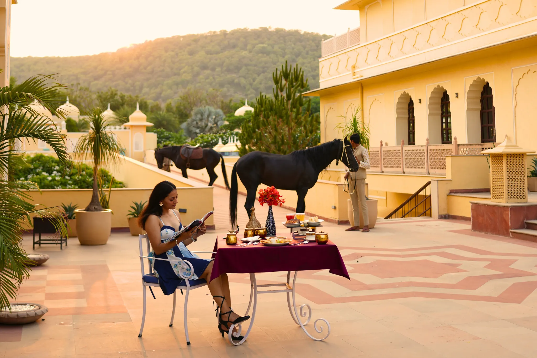 The Vijayran Palace