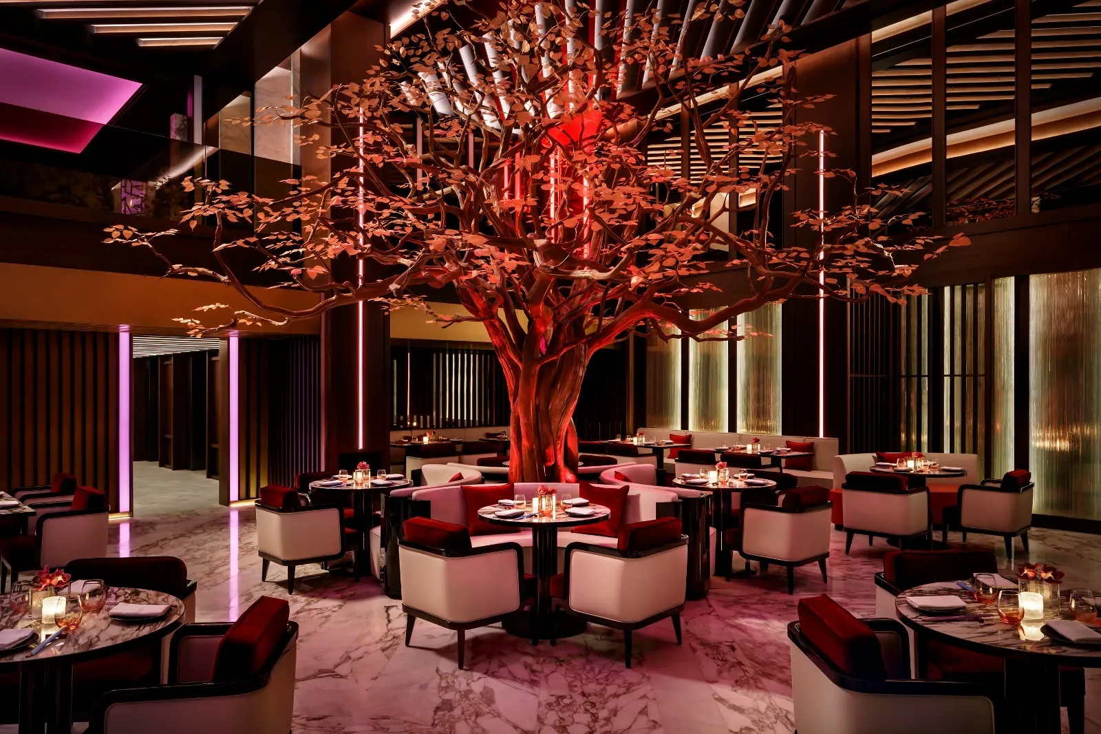 WhatsApp Image 2025-11-06 at 5.00.09 PM