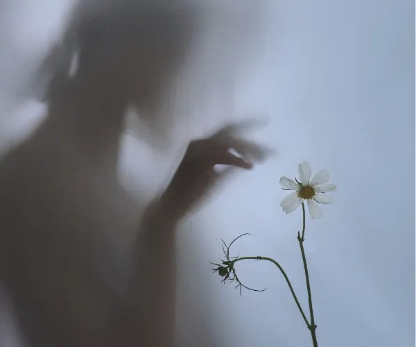 2025-11-11T124631 (5)