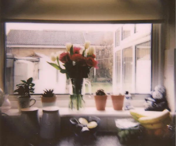 2025-11-11T124631 (7)