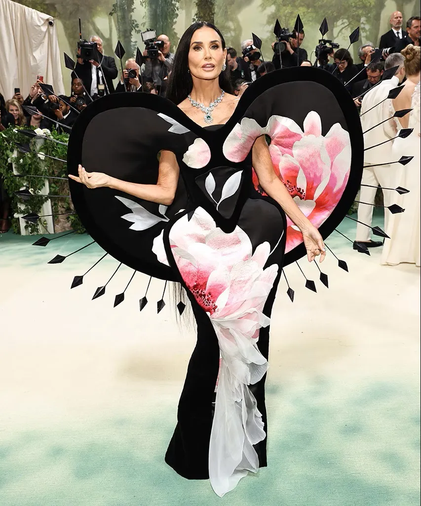 WhatsApp Image 2025-11-12 at 18.33.43 (1)