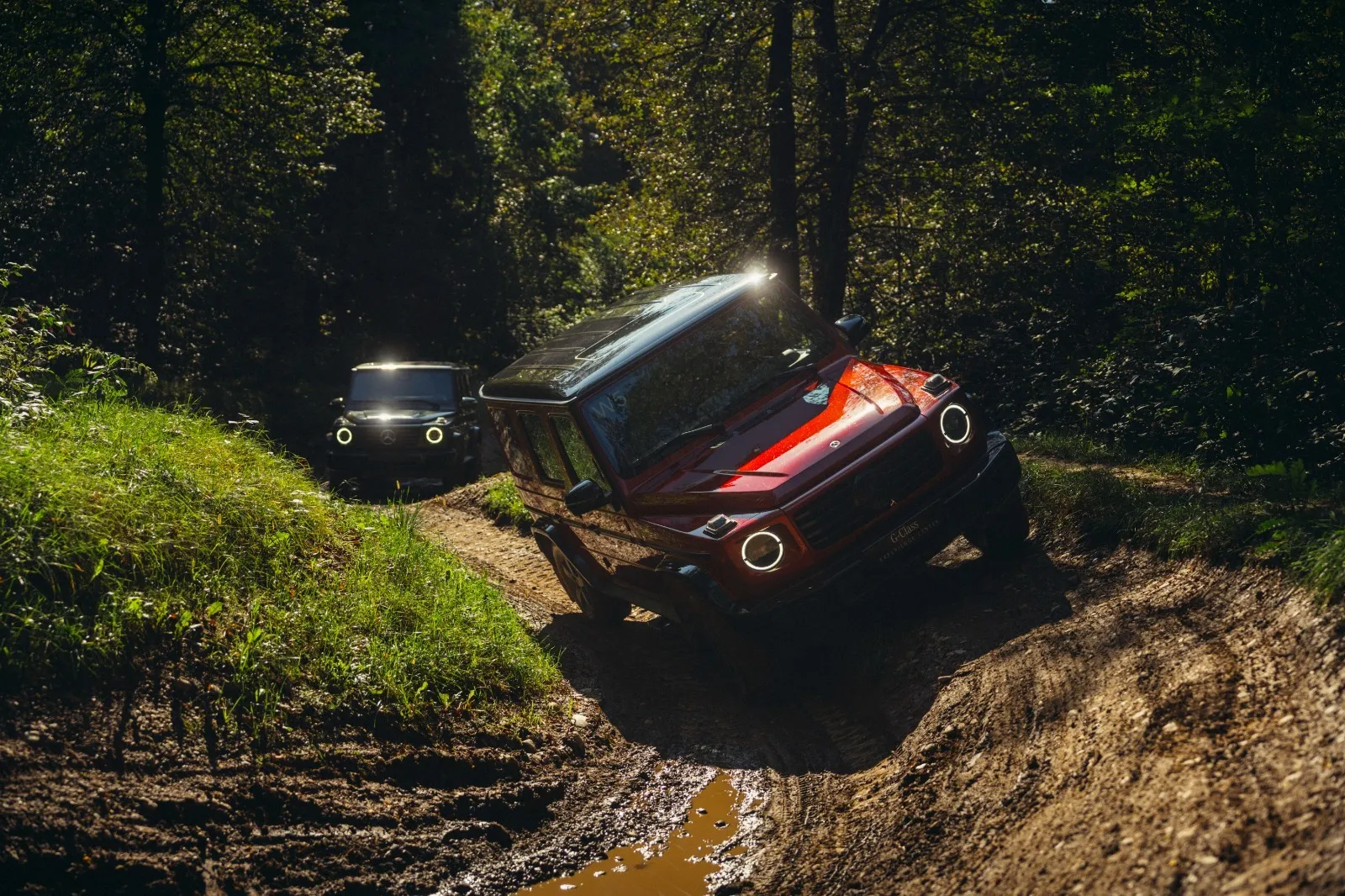 WhatsApp Image 2025-11-28 at 11.23.53 AM (2)