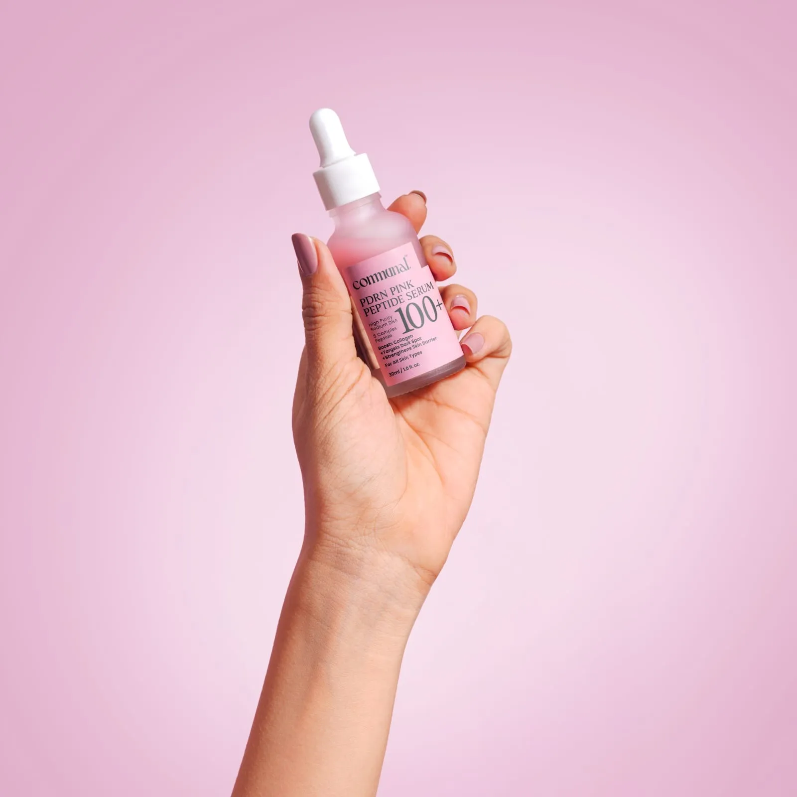 WhatsApp Image 2025-12-01 at 12.25.02_b92fa951