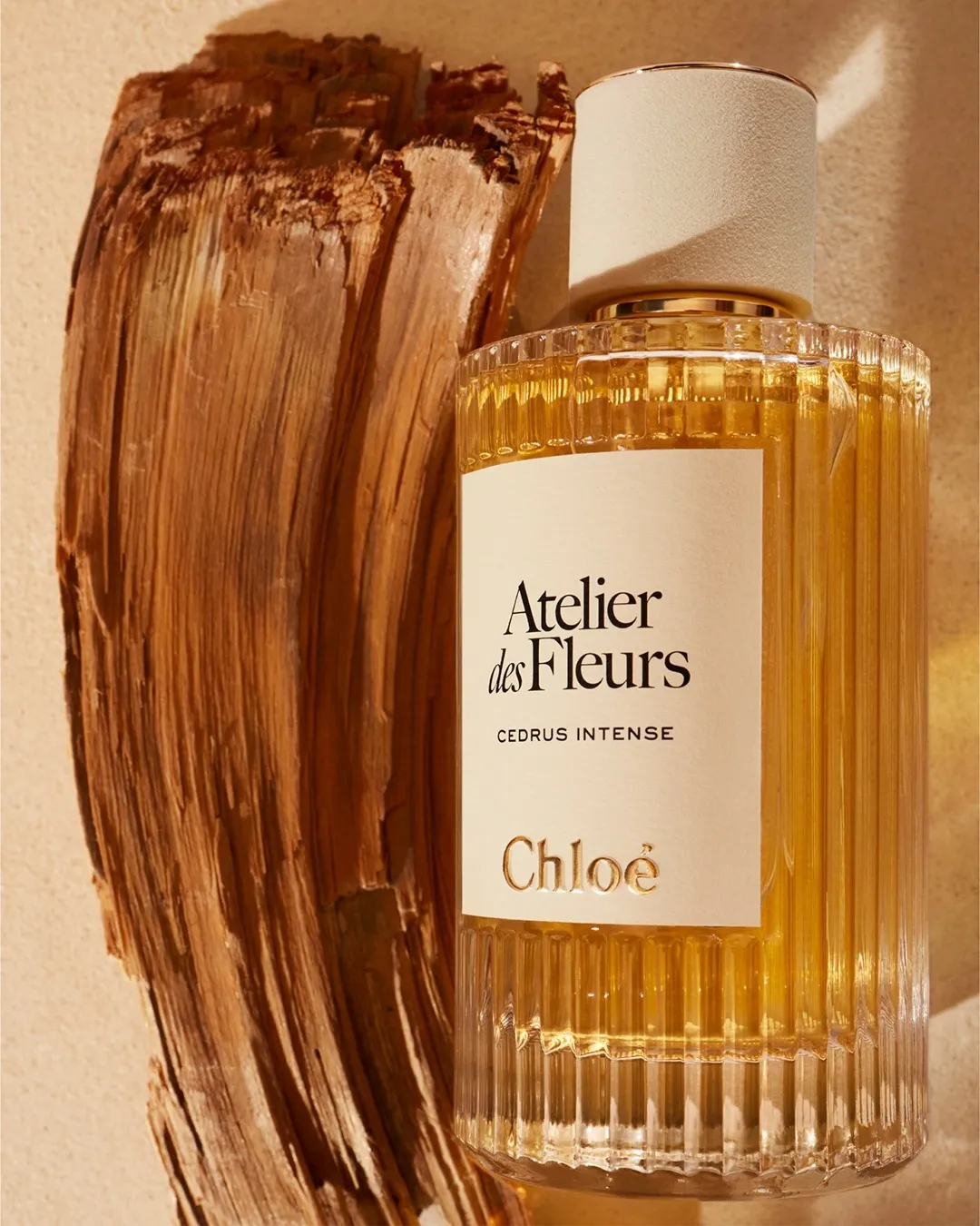 Chloe ADP- Cedrus Intense 2