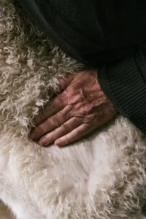 3786bea9e9a28873d3a3f867d17ac534