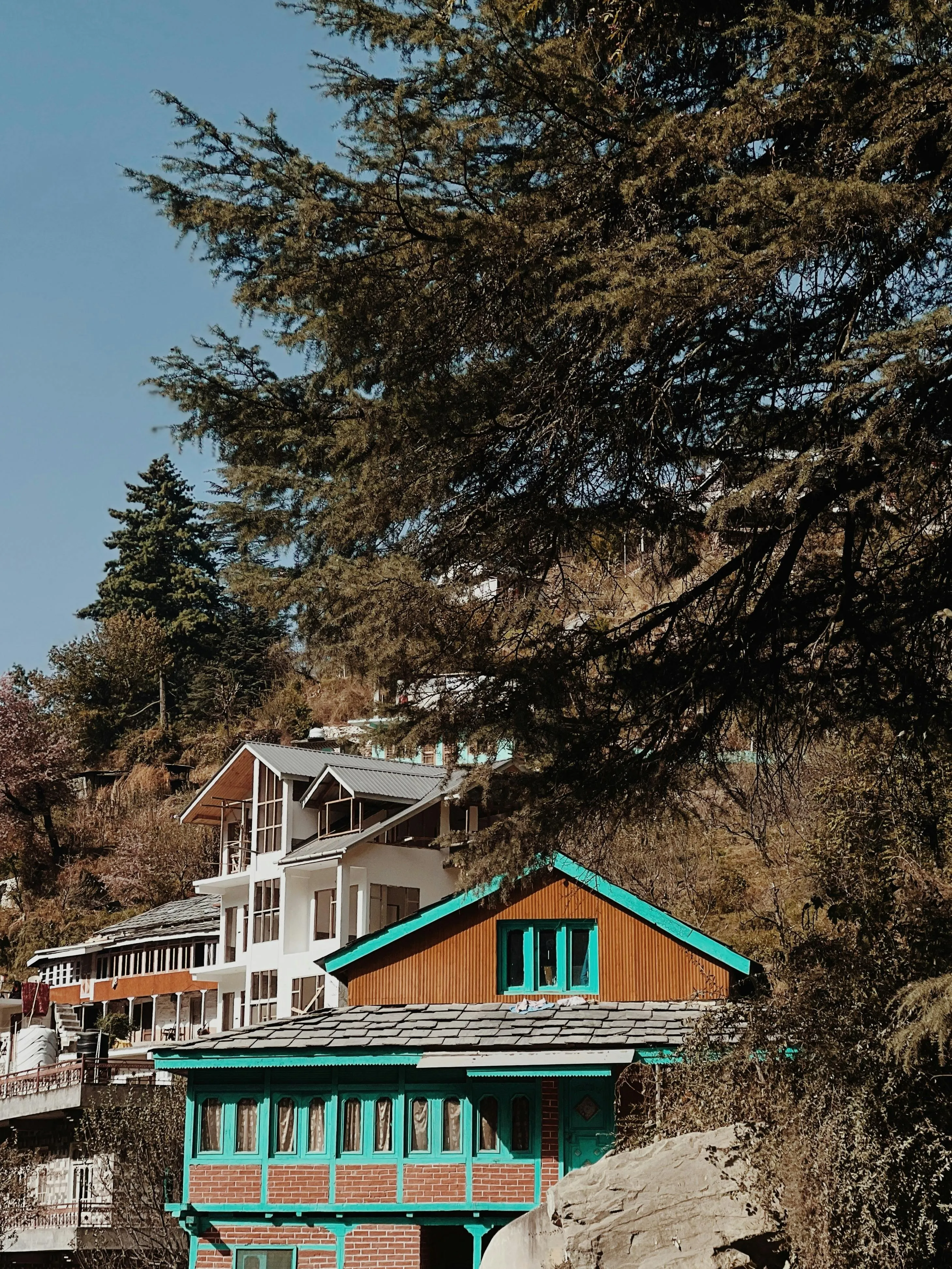 pexels-manishjangid-30195533