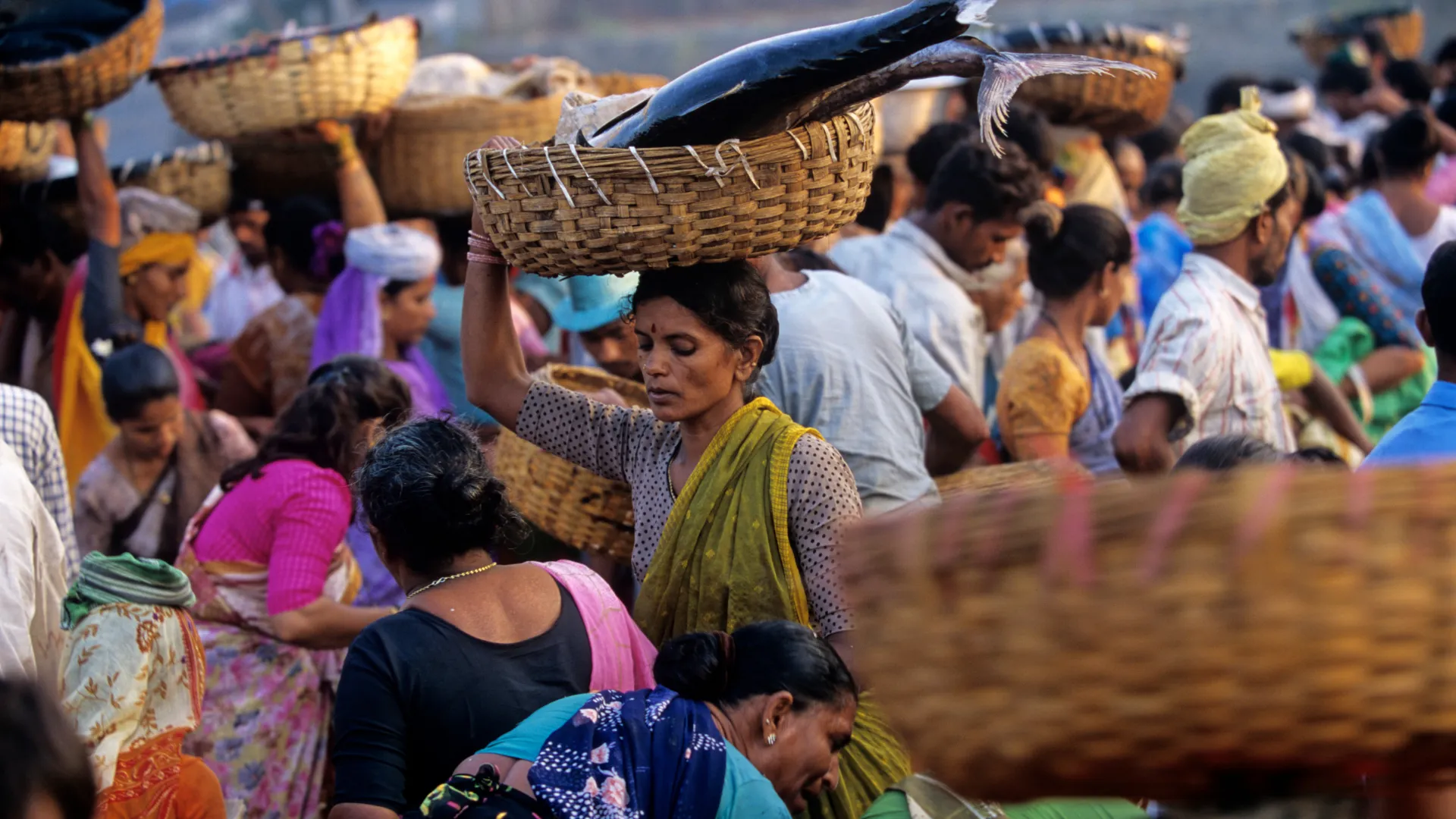 Banner  - 2026-02-20T163927.691