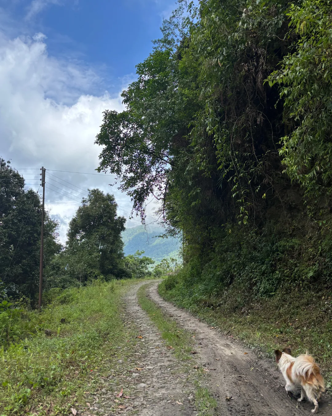 Portrait IG Template (61)