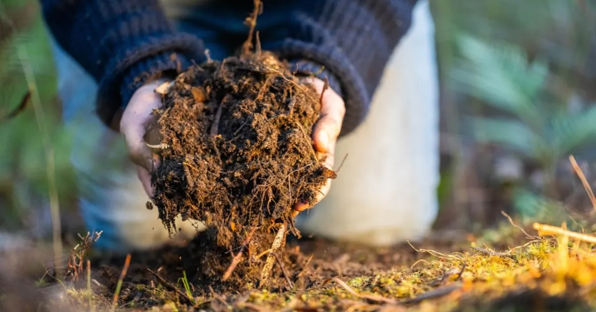 composting