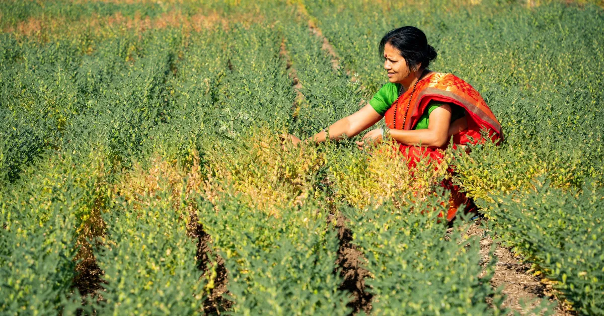 With regenerative practices, rural women are turning modest fields into thriving sources of income.
