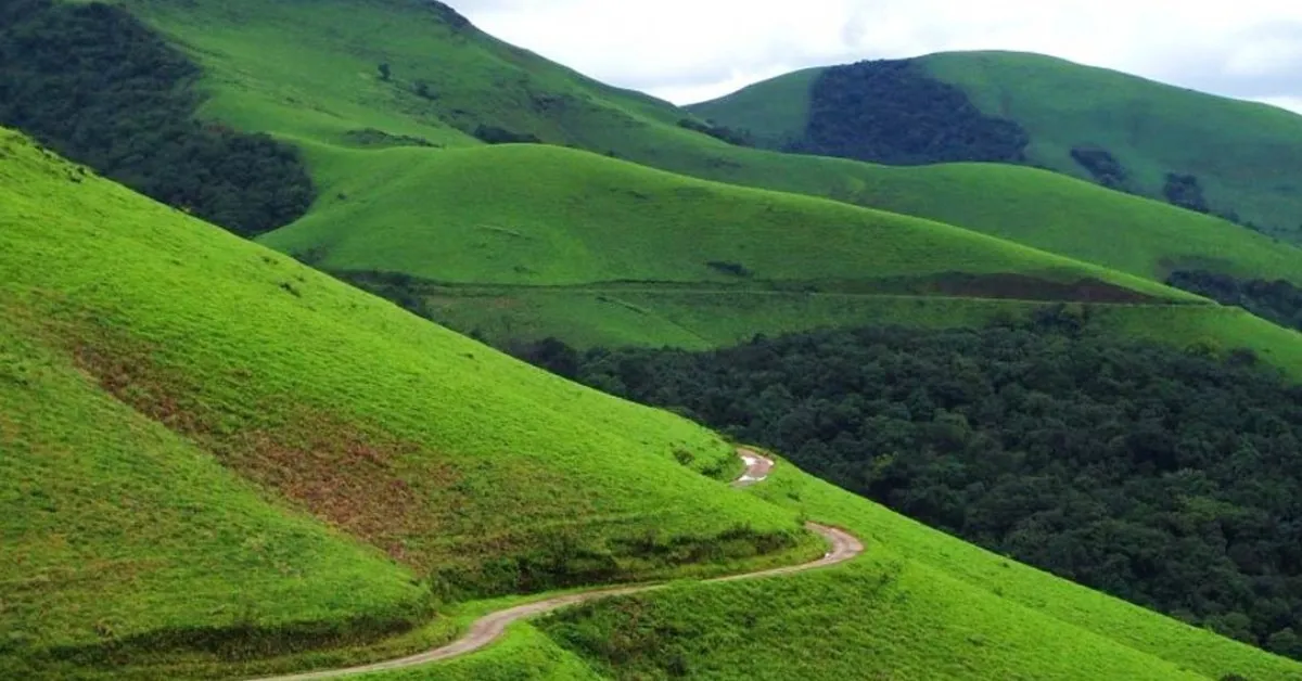 You can enjoy a trip to Chikkamagaluru within a budget of Rs 6,600