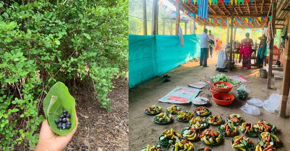 As Rajesh transitioned to permaculture, he started educating others about his methods when they saw his farm thriving without pesticides.