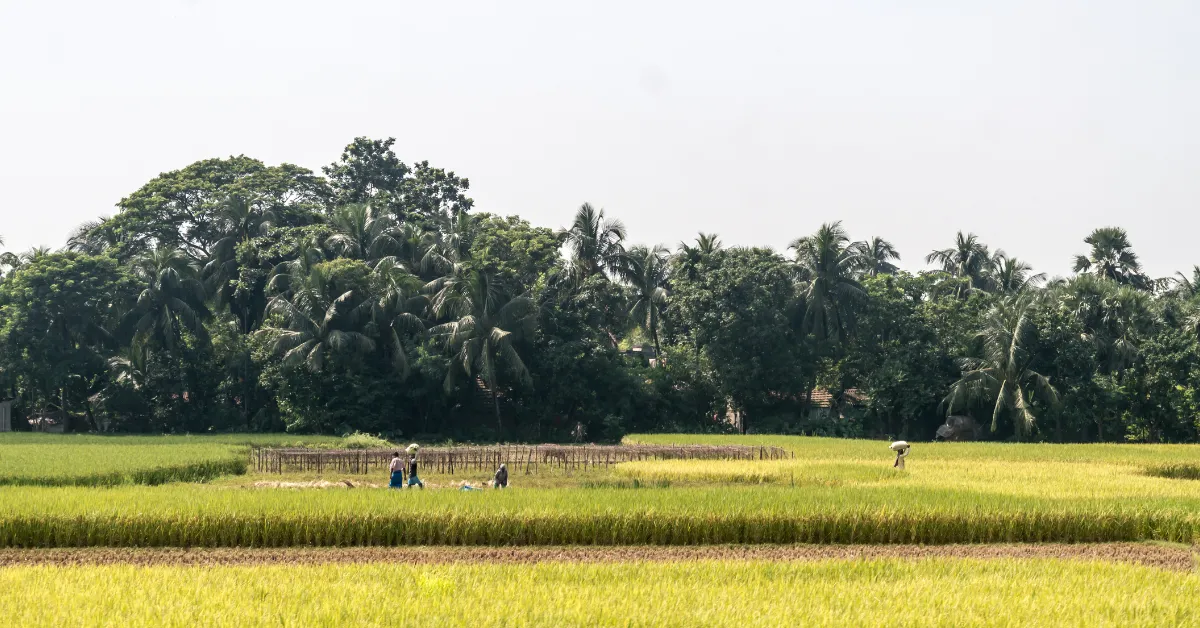 About 50–55% of Jharkhand’s land is upland and erosion-prone, making soil and water conservation vital for farming.