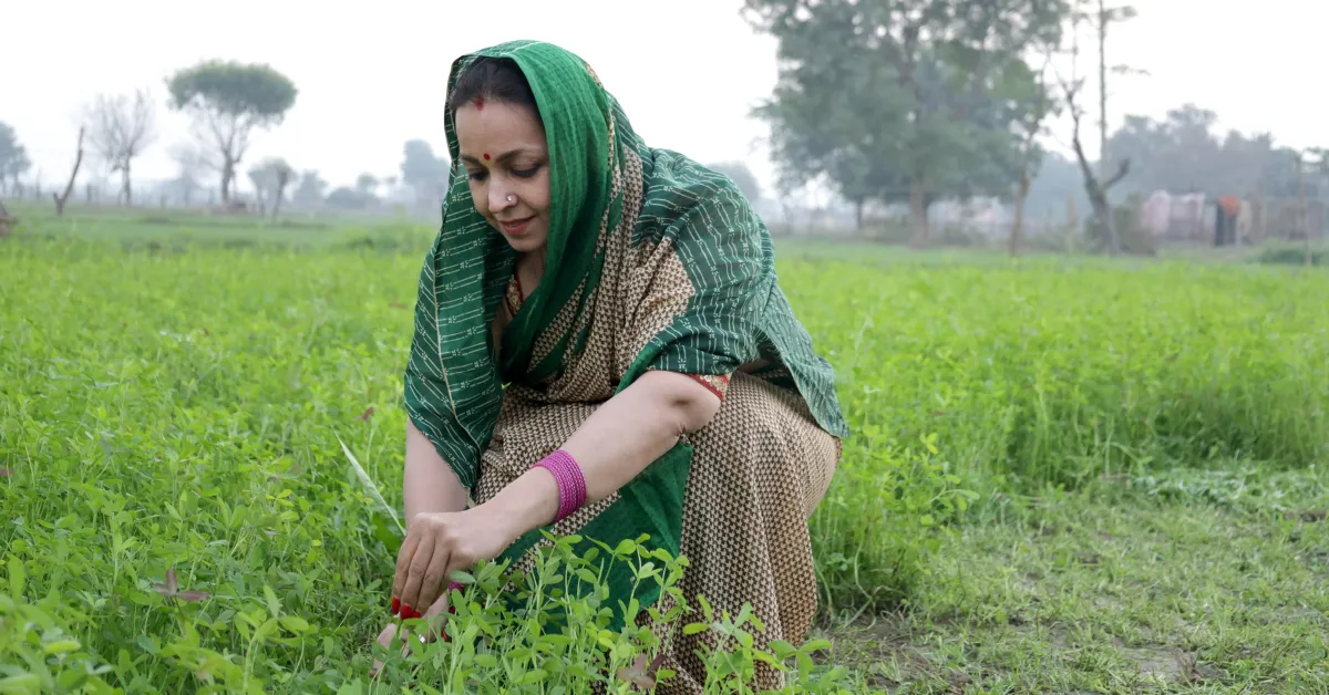 Across Jharkhand, farmers are shifting from chemicals to organic methods that allow longer harvests and higher profits.