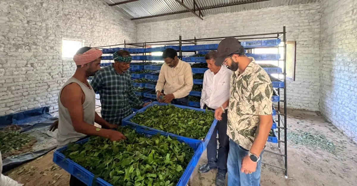 sericulture pathankot (2)