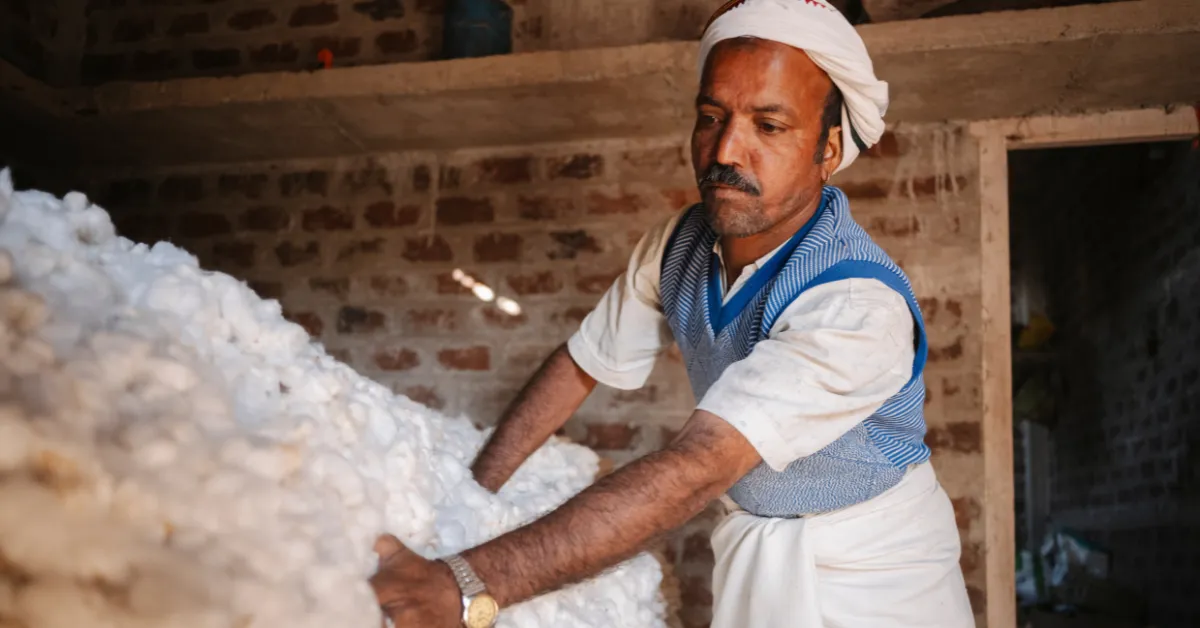Cotton farmers under Beetle Regen’s model are adopting High Density Planting Systems to boost yields and cut costs.