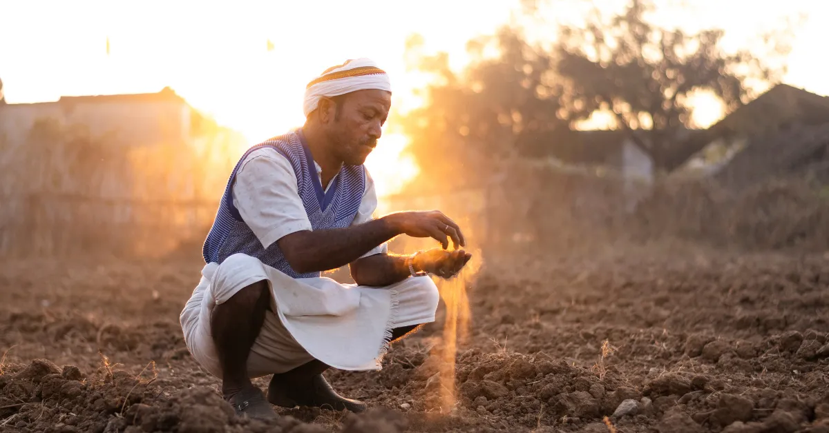 Regenerative practices like reduced tillage and composting are restoring soil health while cutting farm input costs.