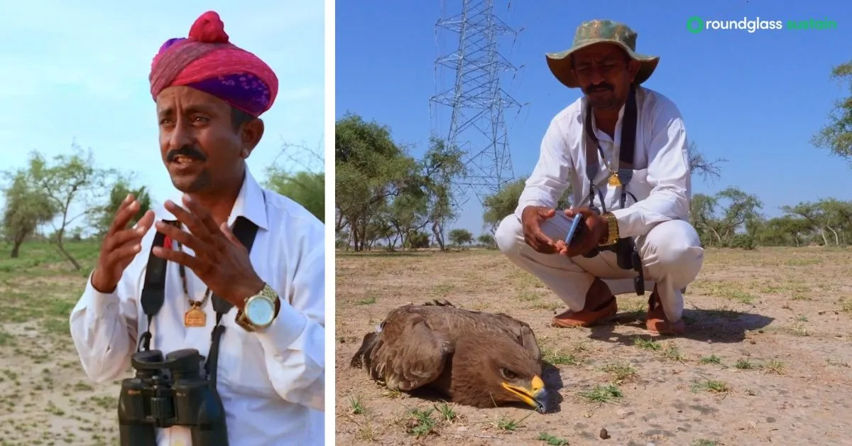 The people of Rajasthan have begun to see an increase in the number of bird deaths due to high tension cables