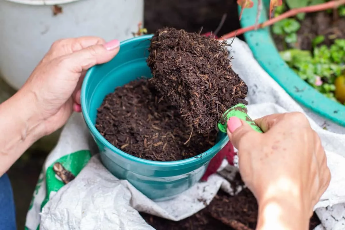 composting puja waste