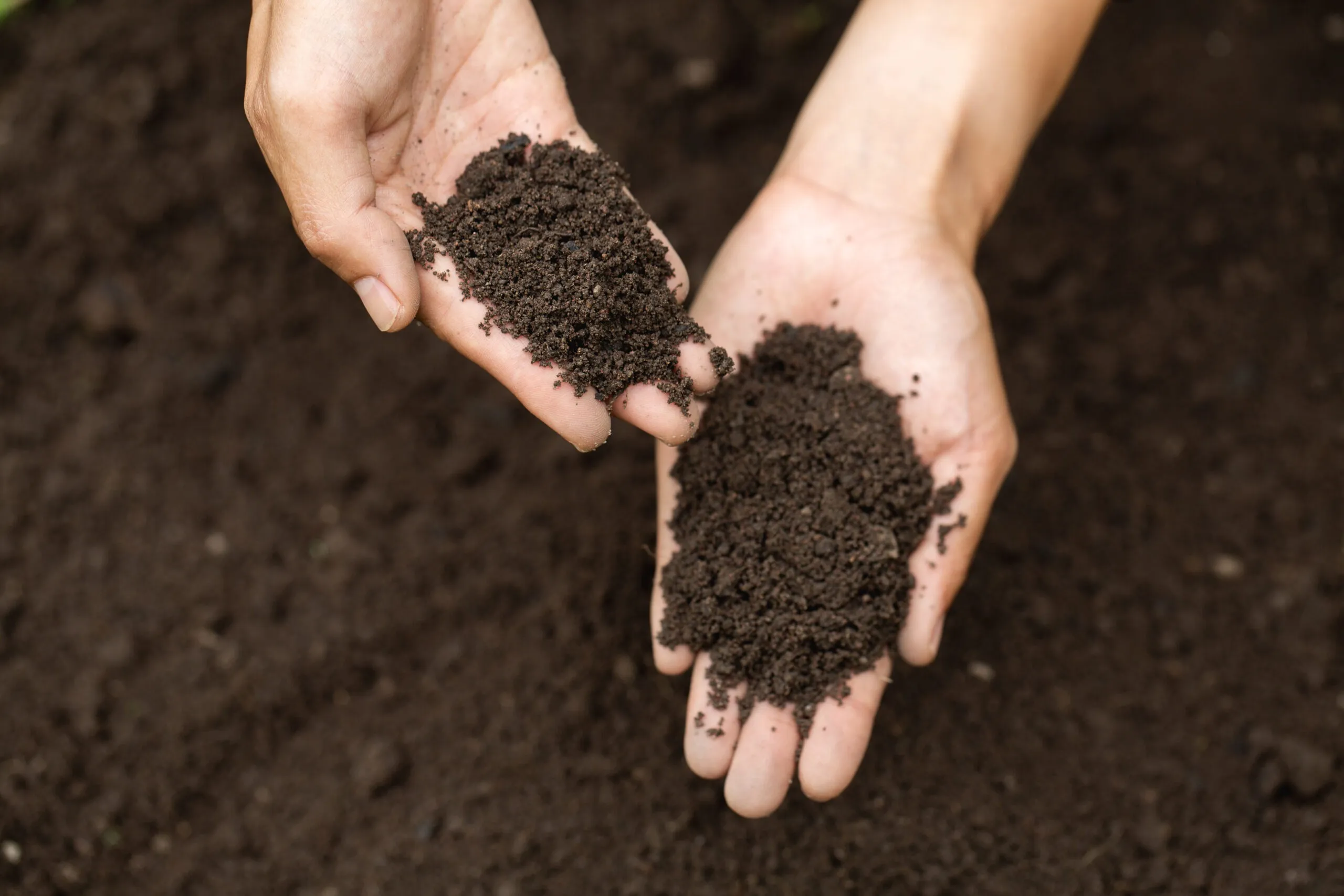 composting puja waste